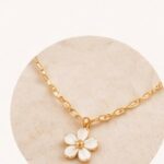 Collares